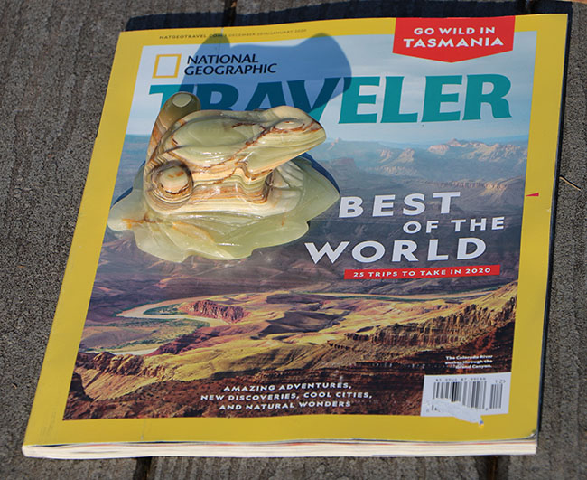 National Geographic Traveler Frogs