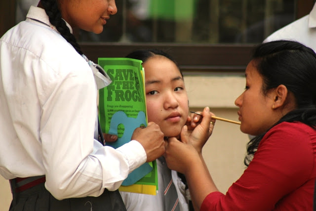 Nepal Sanepa STF Day 2017 face painting1