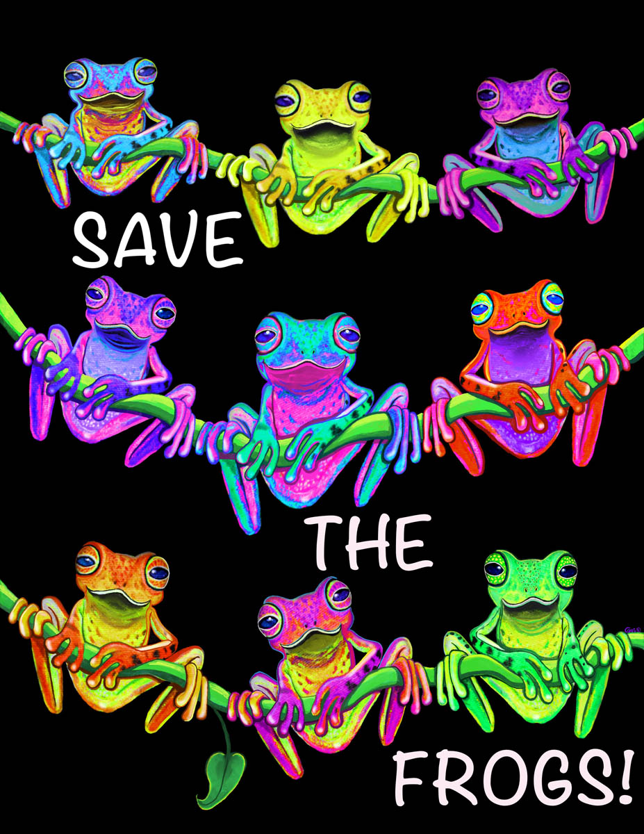 colorful frogs on vine