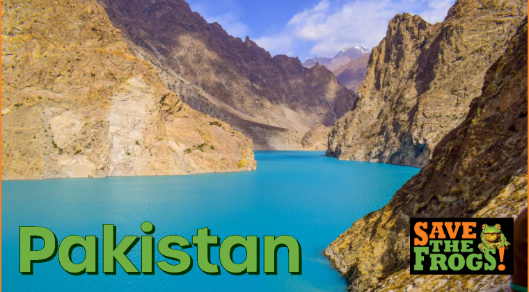 Pakistan amphibians course