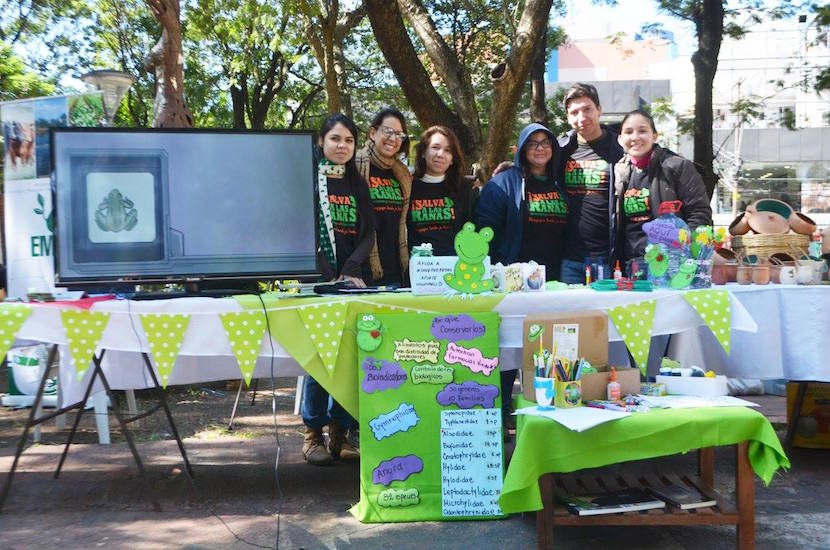 Paraguay-STF-Day-5