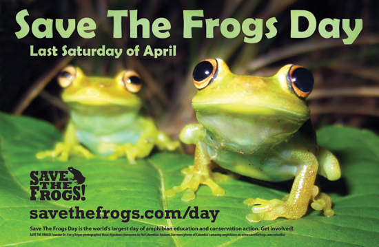 Save The Frogs Day Poster