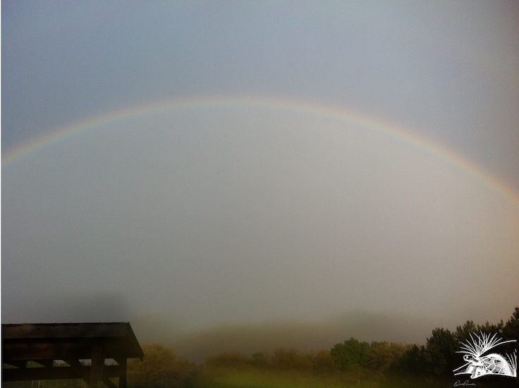 Preserve Rainbow 2 WM