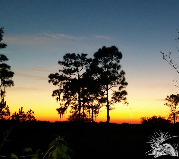 Preserve Sunset WM