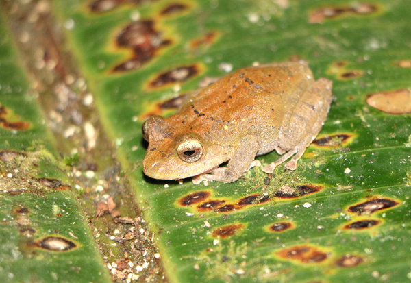 Ecotour Operators Ecuador