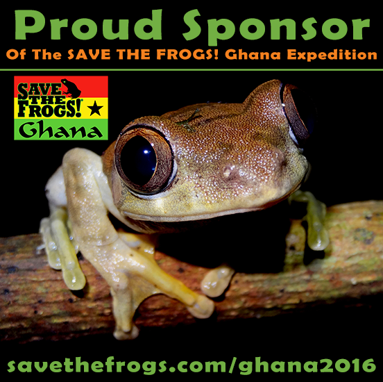 Proud Sponsor STF Ghana Expedition