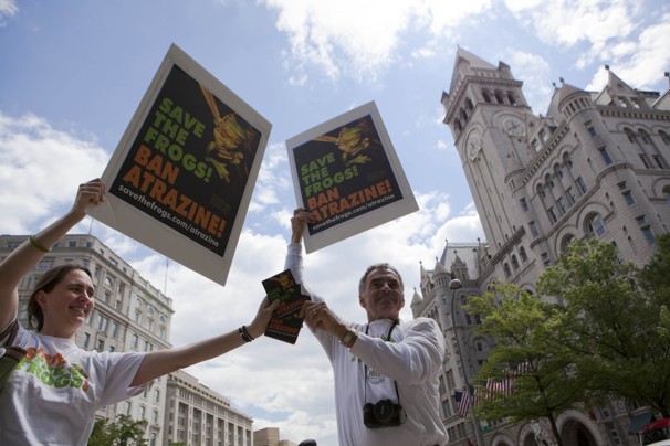 Save The Frogs Day 2011 DC Atrazine EPA Rally