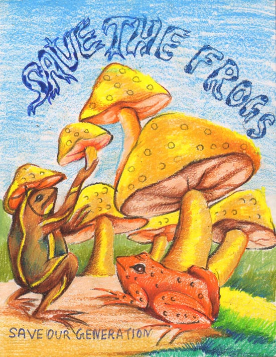 Frog Art India