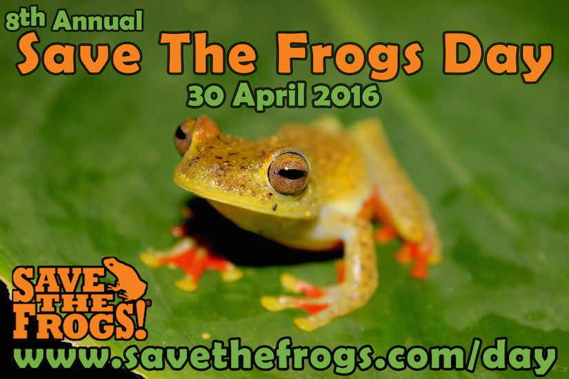 Save The Frogs Day 2016