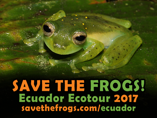 Ecotour, Ecuador