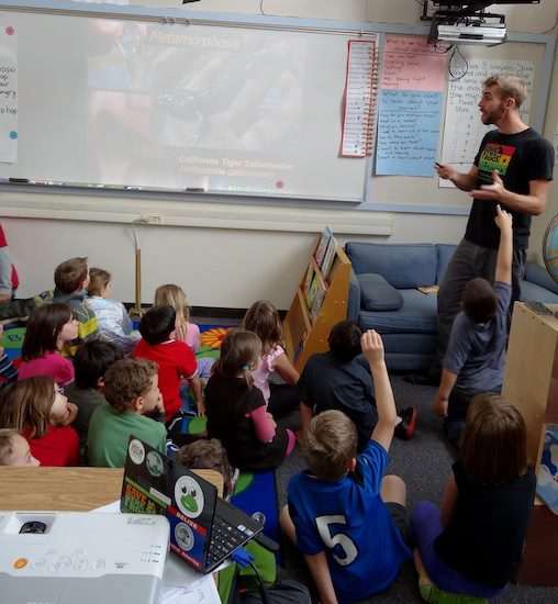 save the frogs presentations
