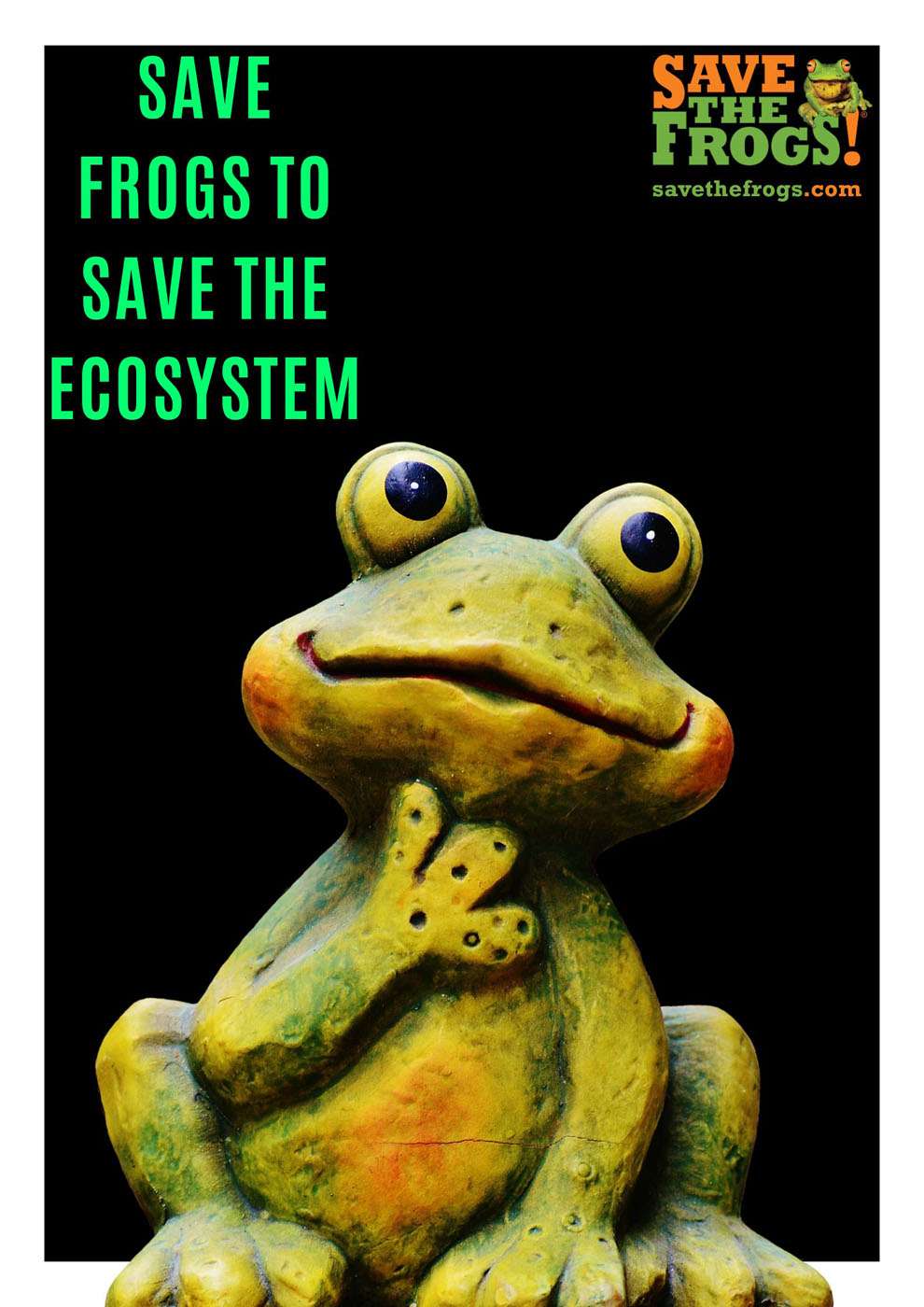 Save The Frogs Bangladesh University Dhaka Department of Zoology