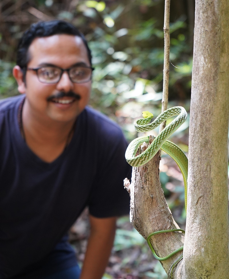 Shibajee Mitra India Frogs