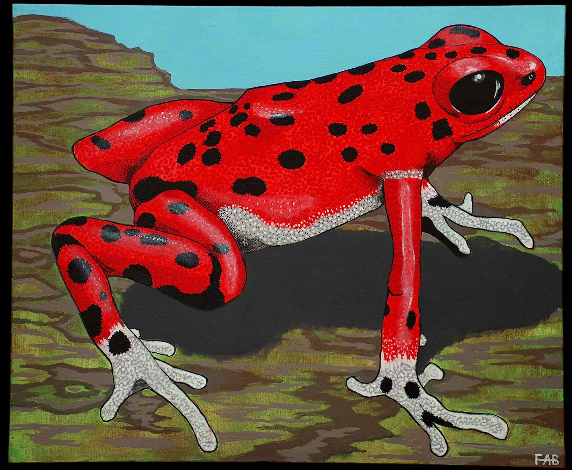 Strawberry Poison Dart Frog Art