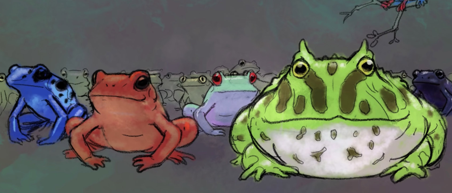 TED-Ed Disappearing Frogs