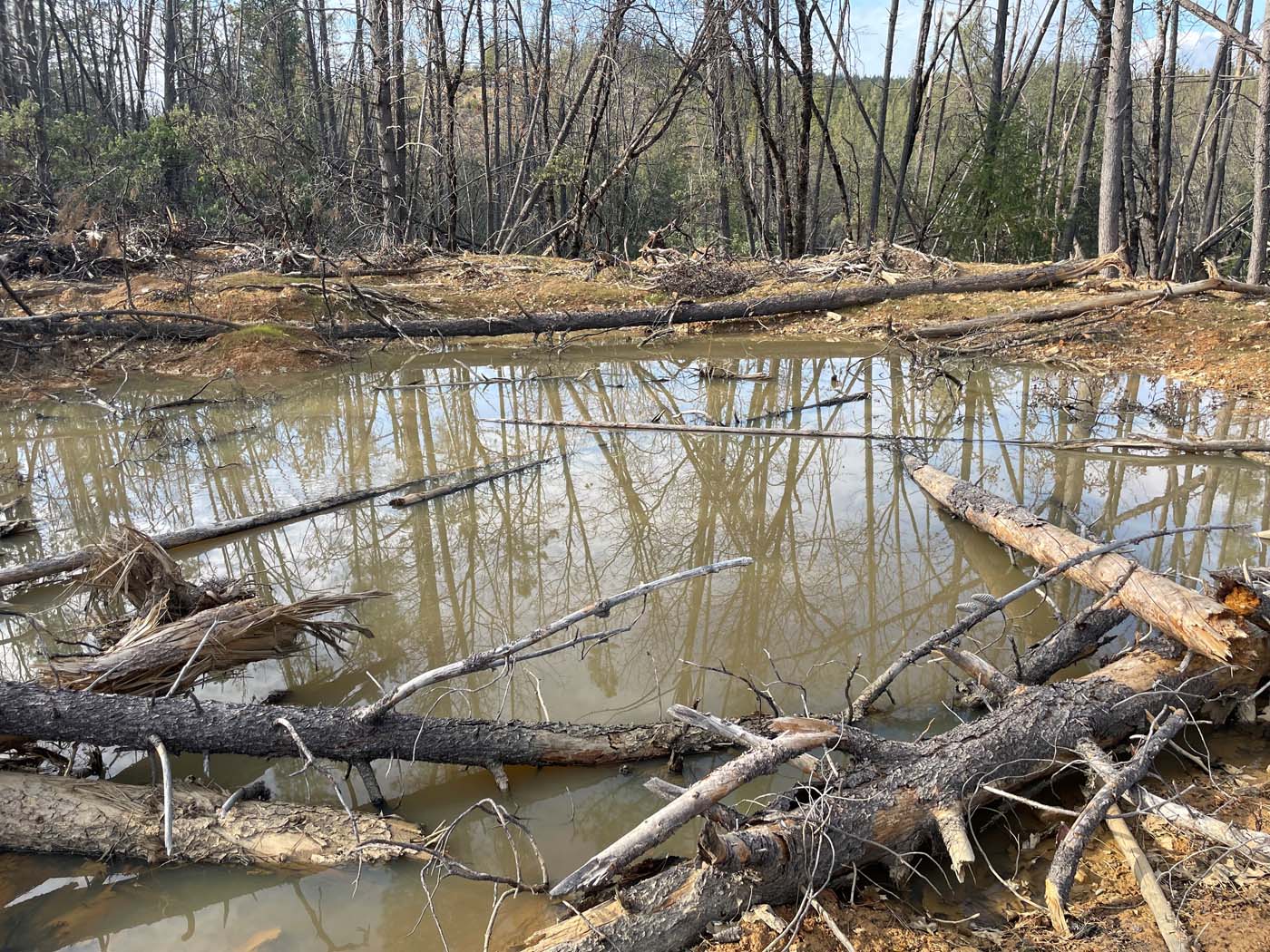 Tahoe Wetland Restoration 