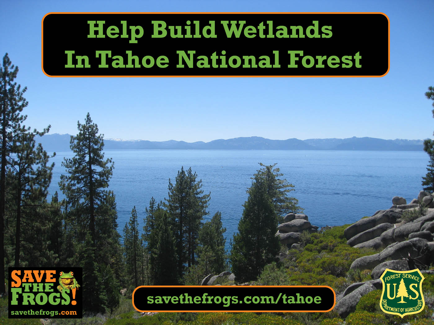 Tahoe National Forest - Wetlands Volunteer Icon