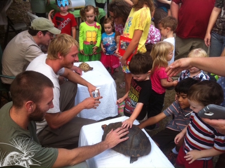 Tortoise Education WM