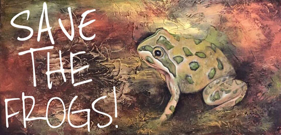 donate amphibian charity