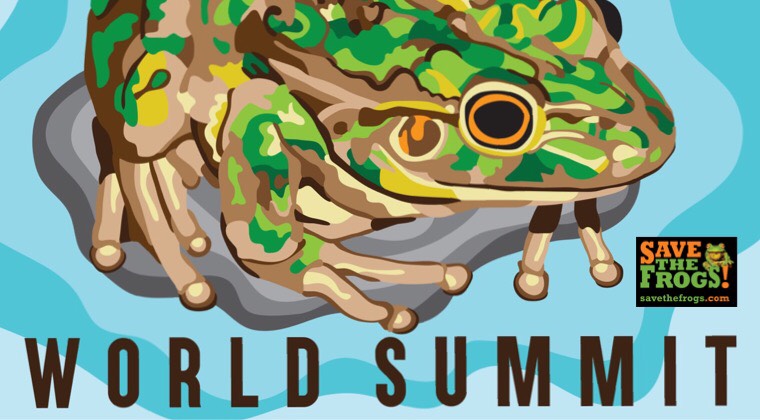 World Summit 2018