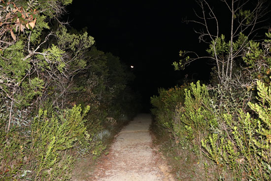 caraca cascatinha trail cerrado