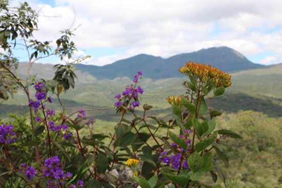 brazil ecotourism