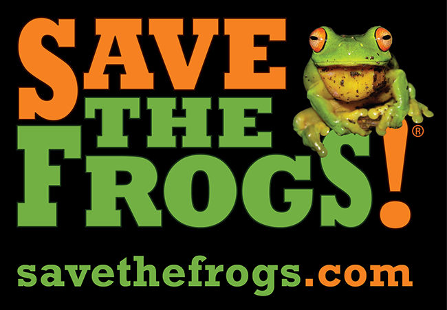 black-save-the-frogs-logo