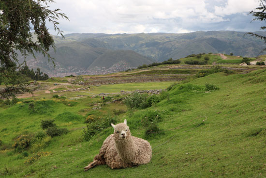 cusco travel