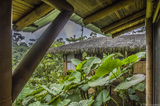 Jardin de los Suenos