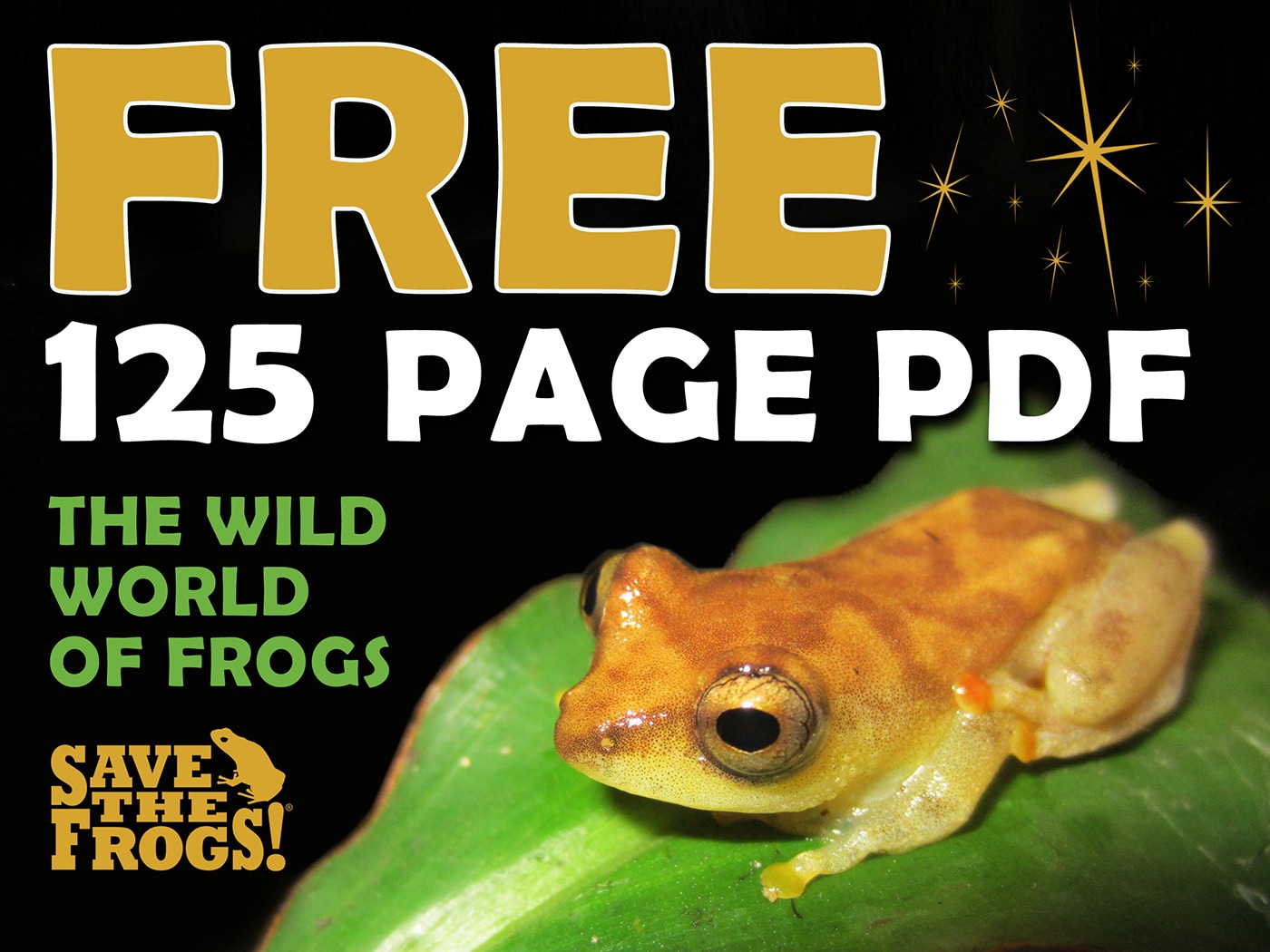 Free 125 page pdf