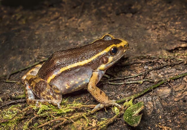 ecuador ecotourism