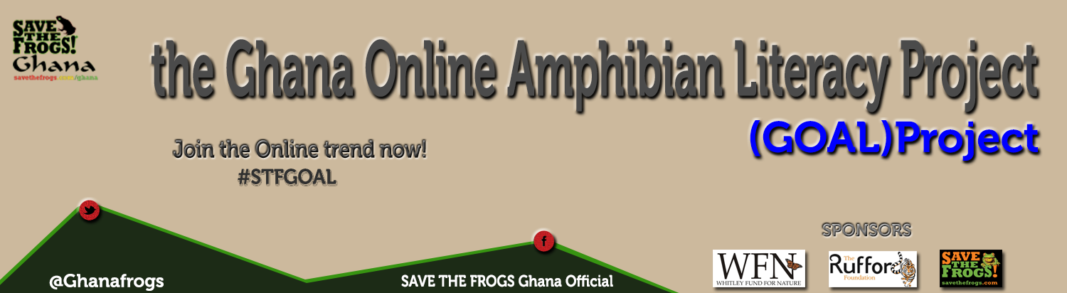 ghana-goal