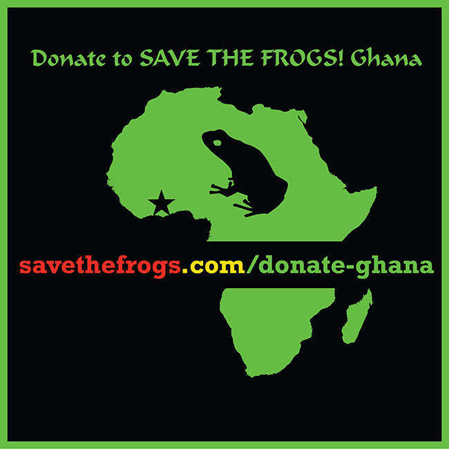 Donate Save The Frogs Ghana