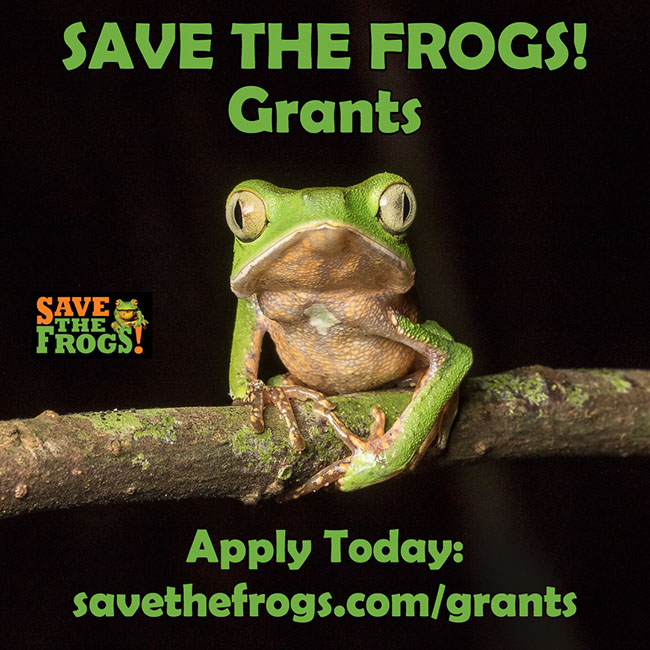 Save The Frogs Grants