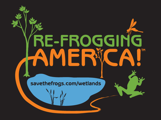 refrogging america