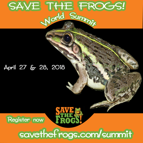save the frogs world summit 2018