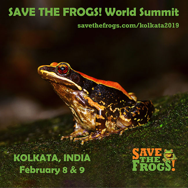 save the frogs world summit kolkata