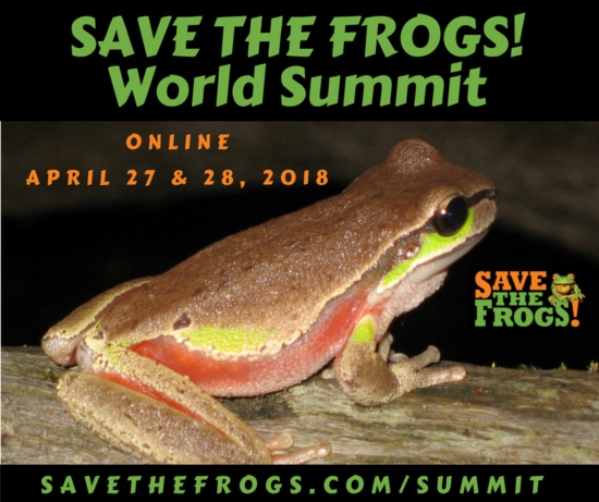 save the frogs world summit