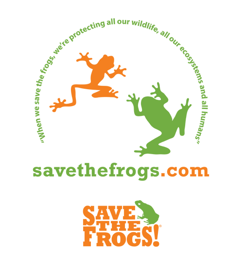 kerry kriger quote frog