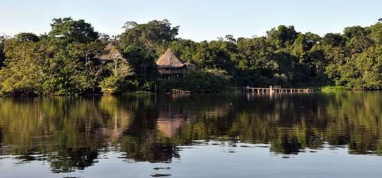 la selva amazon ecolodge ruth van sciver 23