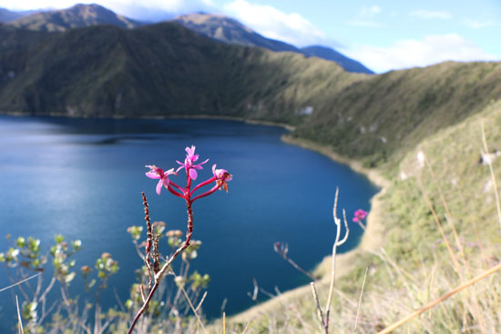 laguna cuicocha 4