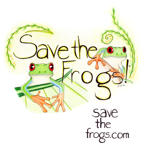 leah klehn red eye treefrogs art