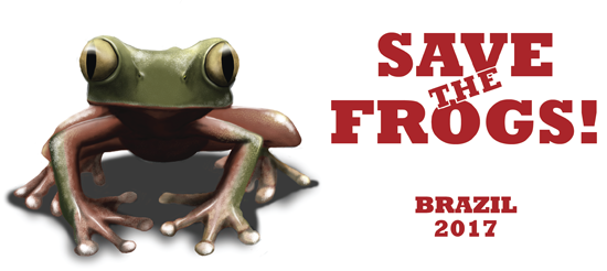 save the frogs brazil logo