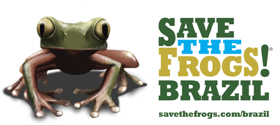 logo save the frogs brazil official 550
