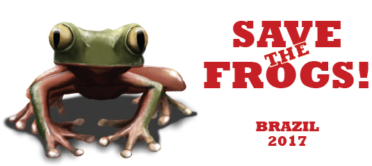 logo save the frogs brazil brasil