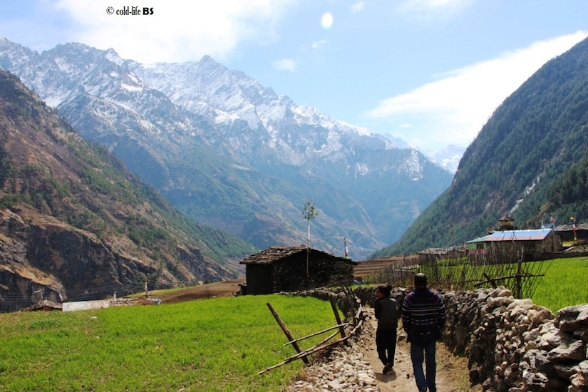 manaslu Farmlands of Prok biraj shrestha