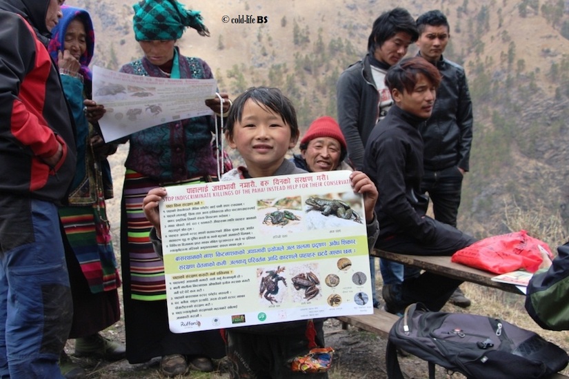 manaslu Local kid displaying paha conservation poster biraj shrestha