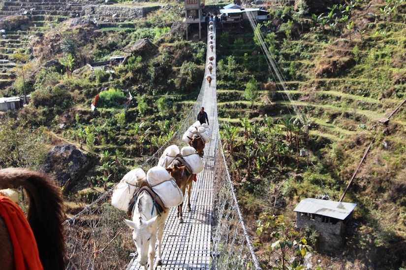 manaslu The mule train biraj shrestha