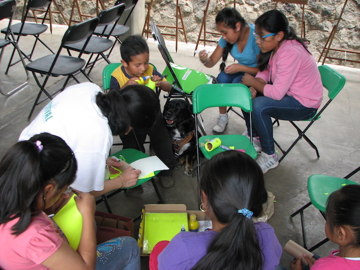 mexico-stf-day-2