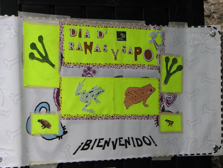 mexico-stf-day-5